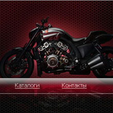 �����-������������� �������������� �BALTIC RAID�